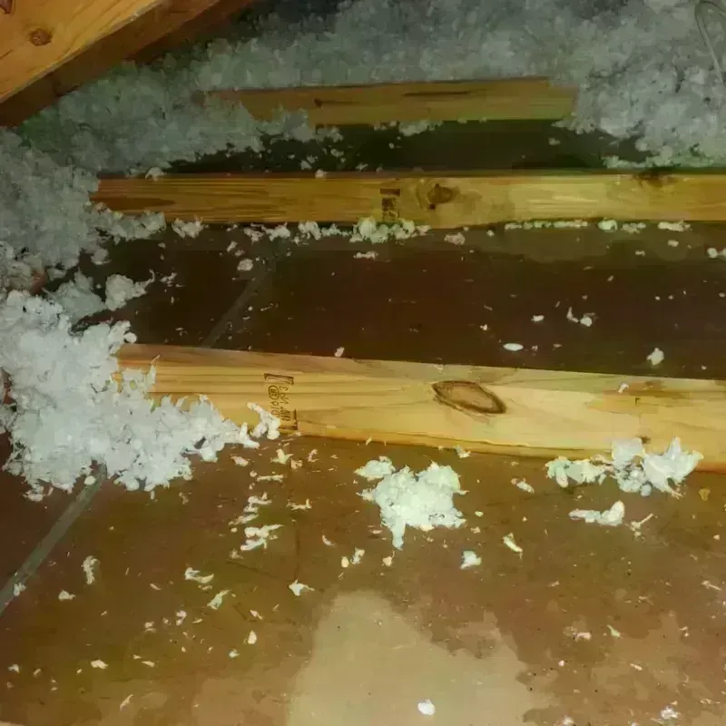 Attic Water Damage in Newcastle, OK