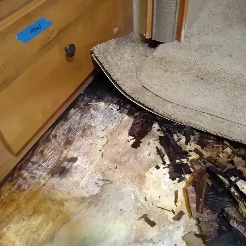 Wood Floor Water Damage in Newcastle, OK